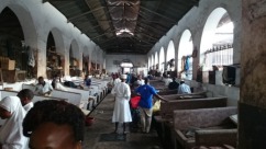 A visit to the fish market